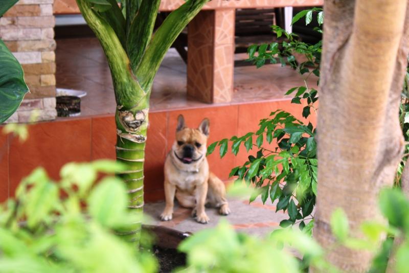 post-77511-0-03785600-1464692931_thumb.j