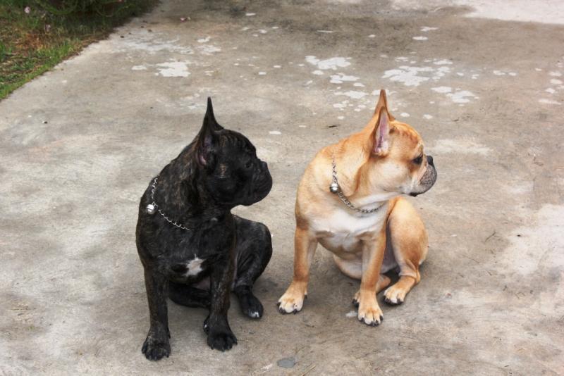 post-77511-0-05301600-1464692804_thumb.j