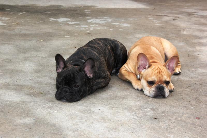 post-77511-0-19214000-1464692646_thumb.j