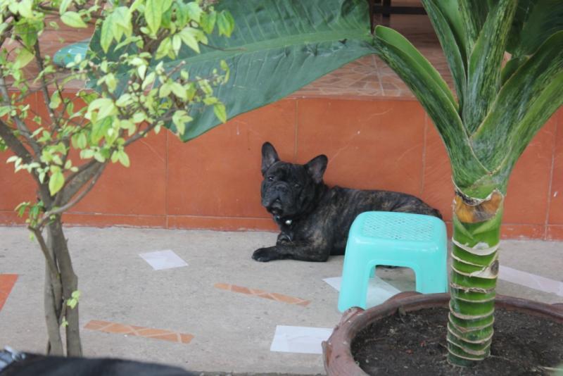 post-77511-0-30958700-1464692950_thumb.j