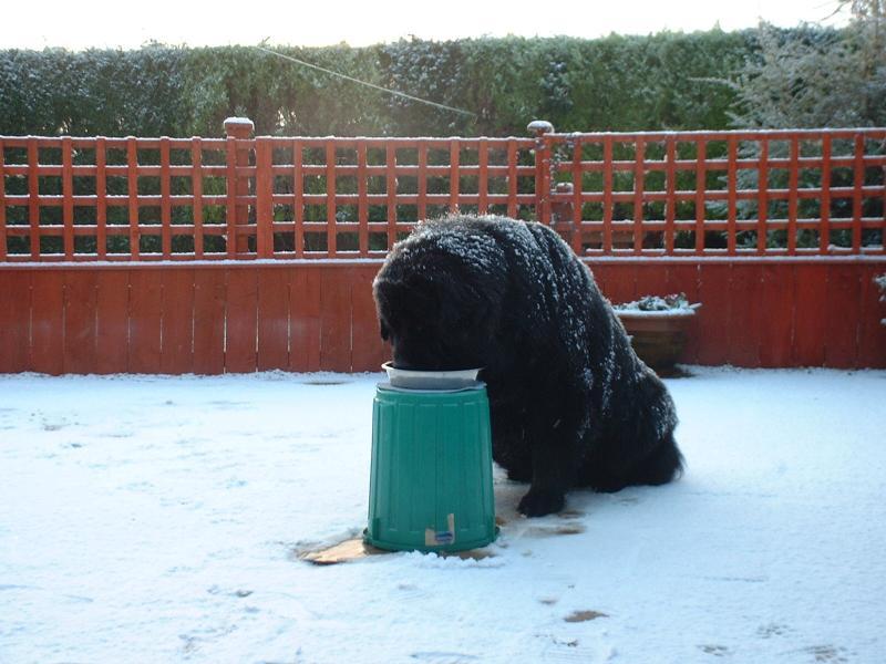 post-77511-0-34188700-1464580203_thumb.j