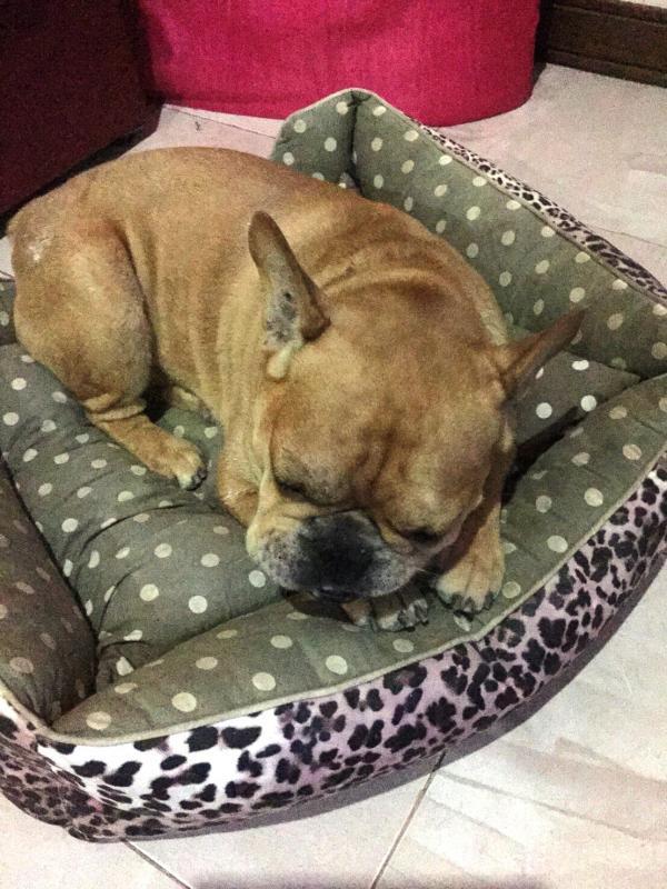 post-77511-0-47958700-1464100726_thumb.j