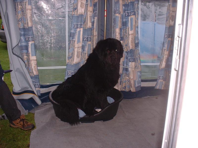 post-77511-0-49795900-1464580314_thumb.j