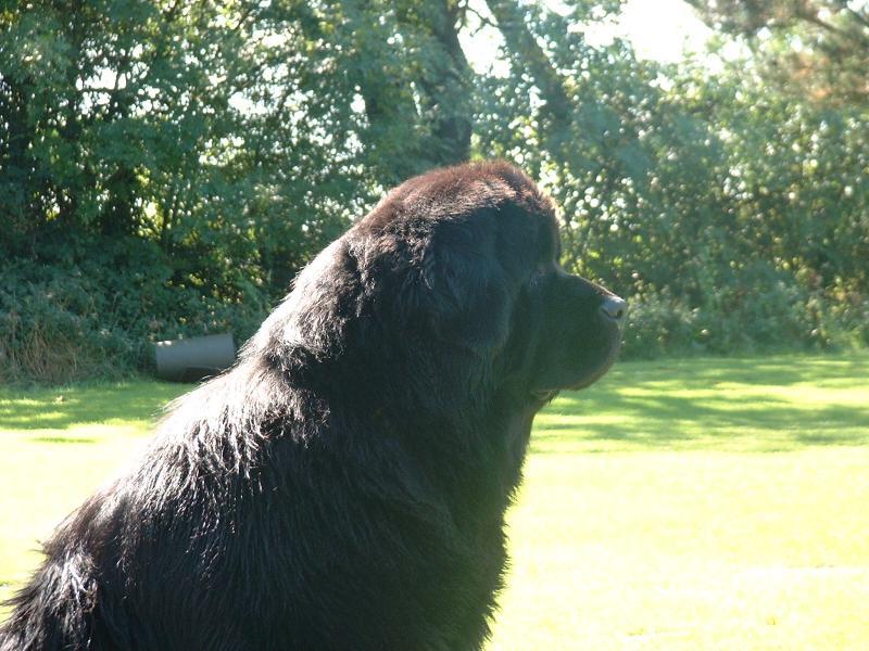 post-77511-0-70675500-1464169418_thumb.j