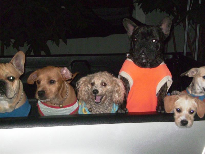 post-77511-0-71366800-1464693060_thumb.j