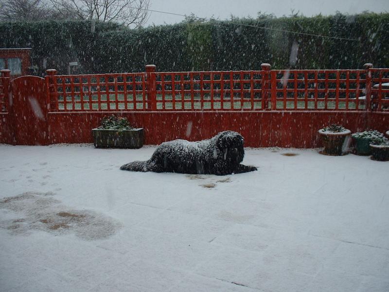 post-77511-0-81449600-1464580075_thumb.j