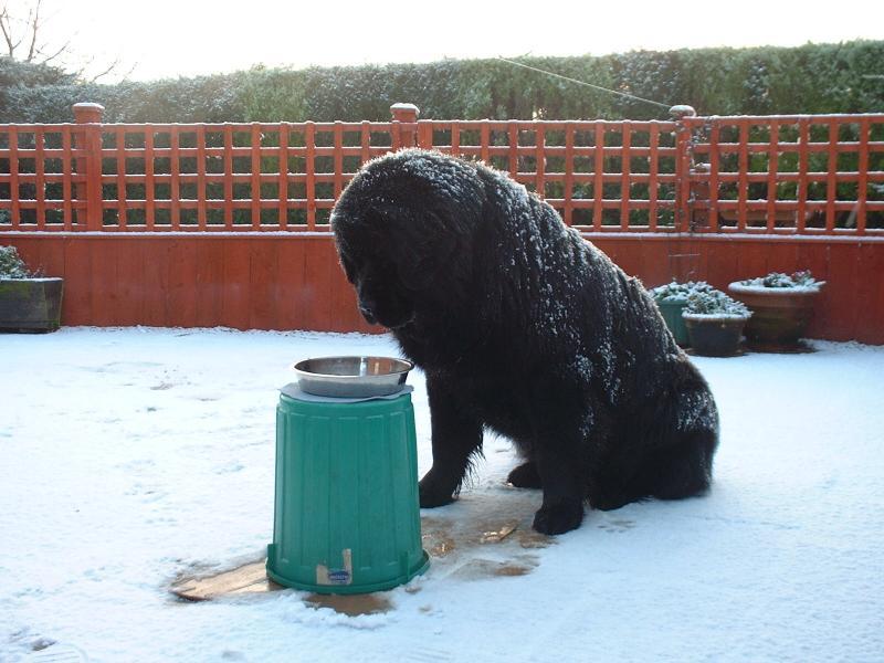 post-77511-0-93598400-1464580239_thumb.j