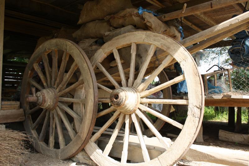 post-87979-0-84838400-1463475802_thumb.j