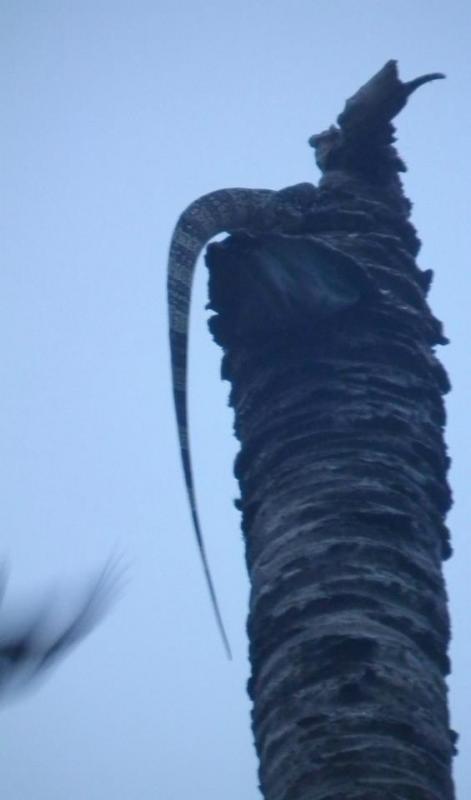 post-91156-0-34317000-1462940307_thumb.j