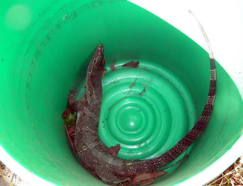 post-91156-0-53577000-1462940376_thumb.j