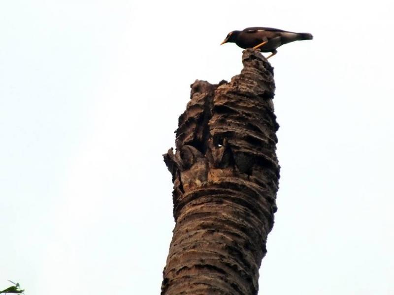 post-91156-0-72330200-1462947155_thumb.j