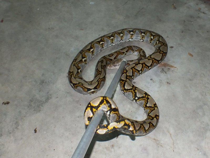 post-91156-0-72338700-1462946546_thumb.j