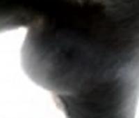 post-39720-1213069374_thumb.jpg