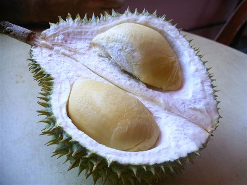 Do You Find Durian To Be An Aphrodisiac ASEAN NOW Community Pub