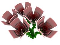 post-109614-080577400 1277828711_thumb.j