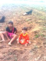 post-22592-037499400 1277210782_thumb.jp