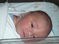 post-23947-061350200 1276853404_thumb.jp