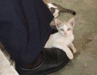 post-42592-076493900 1277136666_thumb.jp