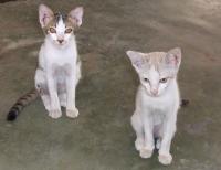 post-42592-096830600 1277136791_thumb.jp