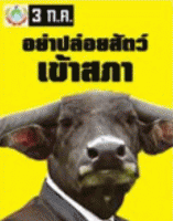 post-108818-0-44549900-1307339964_thumb.