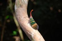 post-24662-0-58371200-1308601065_thumb.j