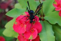 post-24662-0-66904100-1308690642_thumb.j