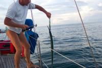 post-36430-0-13410900-1307573094_thumb.j