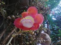 post-36430-0-78772100-1309309785_thumb.j