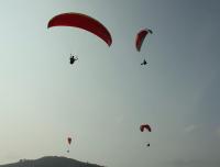 post-70760-0-76852000-1309017451_thumb.j