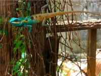 post-80347-0-45130400-1309293749_thumb.j