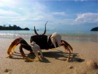 post-80347-0-60086500-1309293739_thumb.j