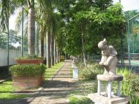 post-94255-0-03117600-1308744324_thumb.j