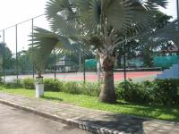 post-94255-0-30347200-1308744213_thumb.j