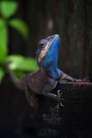 post-96836-0-45821100-1307151069_thumb.j