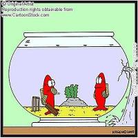 post-104736-0-54600500-1339371017_thumb.