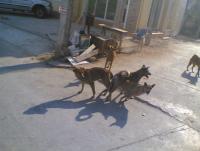 post-136786-0-67380100-1338552430_thumb.