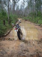 post-143096-0-72161100-1339124452_thumb.