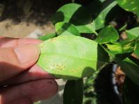 post-149740-0-65762800-1339133115_thumb.