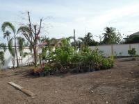 post-14979-0-03081200-1341061994_thumb.j