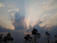 post-31413-0-22165500-1340681856_thumb.j