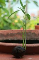 post-5482-0-24372400-1339813844_thumb.jp