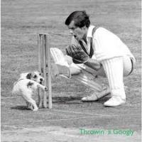 post-64834-0-11549200-1339416072_thumb.j