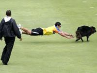 post-64834-0-94407000-1340294986_thumb.j