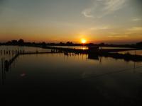 post-104736-0-18011900-1371769493_thumb.