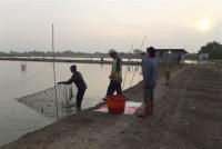 post-104736-0-73802700-1371769322_thumb.