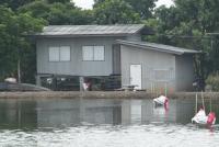 post-104736-0-79473300-1371149842_thumb.