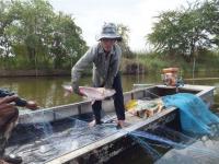 post-104736-0-94029800-1371018808_thumb.