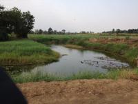 post-108598-0-19860500-1370948989_thumb.