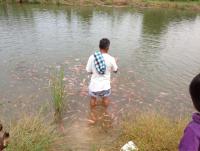 post-108598-0-75675500-1370948820_thumb.