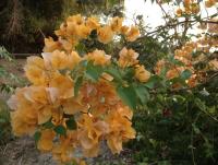 post-108598-0-85849700-1370948875_thumb.